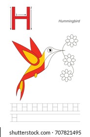 Vector alphabet exercise with kid educational game to learn handwriting with easy gaming level for preschool kids, to color the colorless half, worksheet for letter Hummingbird with flowers
