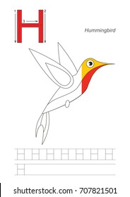 Vector alphabet exercise with kid educational game to learn handwriting with easy gaming level for preschool kids, to color the colorless half, worksheet for letter Hummingbird with flowers
