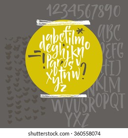 Vector alphabet. Hand drawn letters. Letters of the alphabet written with a brush.