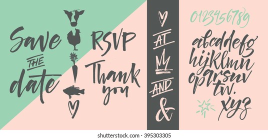 Vector alphabet. Hand drawn letters. Letters of the alphabet written with a brush. Wedding invitation set, RSVP, menu options, thank you card