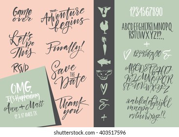 Vector alphabet. Hand drawn letters. Letters of the alphabet written with a brush. Wedding invitation set, RSVP, menu options, thank you card