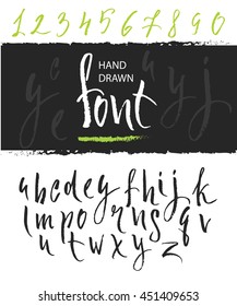 Vector alphabet. Hand drawn letters. Letters of the alphabet written with a brush.