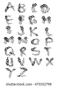 Vector alphabet. Hand drawn letters.