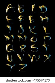 Vector alphabet. Hand drawn letters. Letters of the alphabet written with Quill brush.