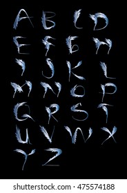 Vector alphabet. Hand drawn letters. Letters of the alphabet written with Quill brush.