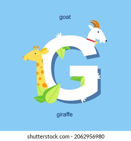 vector alphabet illustration for children's book, letter g with animals, goat and giraffe