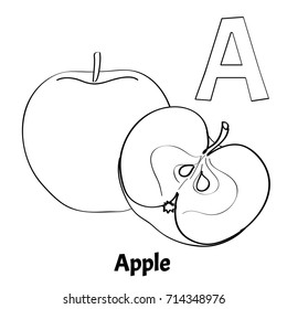 Vector alphabet letter A, coloring page. Apple