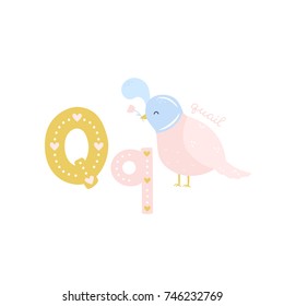 Vector alphabet letter Q and quail bird