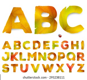 Vector alphabet letters made from autumn leaves, isolated on white