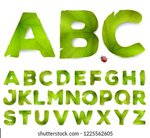 Vector alphabet letters made from green leaves, isolated on white