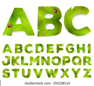 Vector alphabet letters made from green leaves, isolated on white