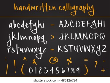 Vector alphabet set. Hand written calligraphy. Vector letters, numbers and symbols.