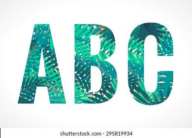 Vector alphabet set. Retro palm letters A, B, C