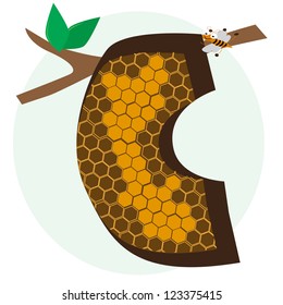 vector alphabetical of honeycomb