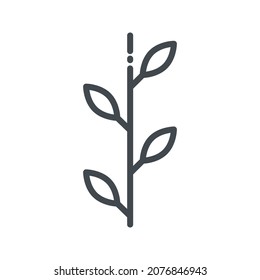 Vector alternative medicine line icon isolated on transparent background. Plant as herbal medicine conceptual sign