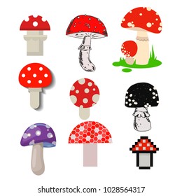 Vector amanita mushrooms dangerous set poisonous season toxic fungus food illustration.