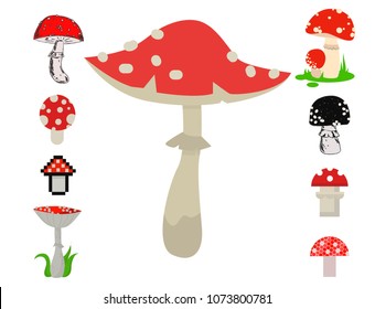 Vector amanita mushrooms dangerous set poisonous season toxic fungus food illustration.