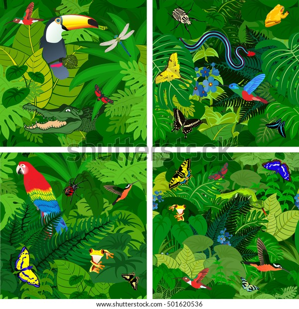 Vector Amazon Jungle Rainforest Seamless Pattern Stock Vector (royalty 