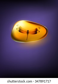 vector amber stone with dragonfly