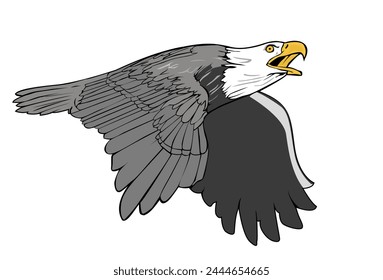 vector american bald eagle flying on white background