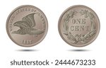 Vector American money, one cent coin, 1857. Vector illustration.