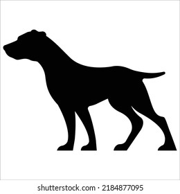 Vector American pit bull terrier dog breed silhouette isolated on white background