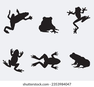 Vector amphibian silhouette on the white background. Frog silhouettes. Collection of vector amphibian silhouette isolated. Vector silhouettes of amphibian, top view