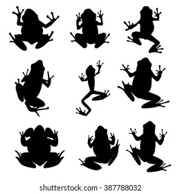 Vector amphibian silhouette on the white background. Frog silhouettes. Collection of vector amphibian silhouette isolated. Vector silhouettes of amphibian, top view
