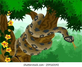 Vector Anaconda In Amazon Jungle