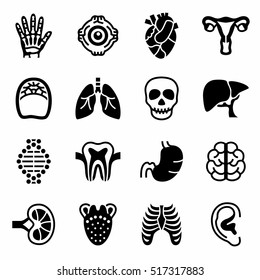 Vector Anatomy icon set