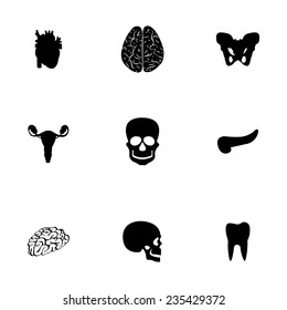 Vector anatomy icons set on white background