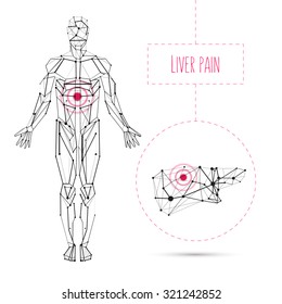 Vector anatomy medical illustration human liver pain