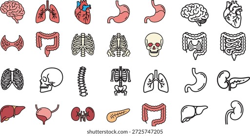 Vektoranatomie Organ Icon Set mit Bold Line Art Medizinische Symbole des menschlichen Körpers Teile Gehirn Herz Lungen Magen Leber Niere Blase Pankreas Wirbelsäule Darm Schilddrüse Rippen Skelett Schädel Illustration