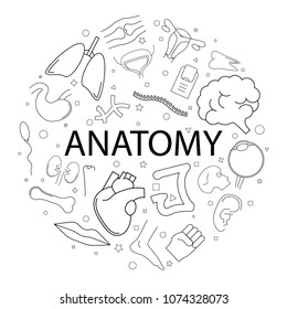 Vector anatomy pattern with word. Anatomy background