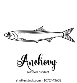 Vector anchovy. Hand drawn icon badge fish for design seafood packaging and market.
