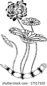 Vector of Ancient Traditional Chinese Artistic pattern