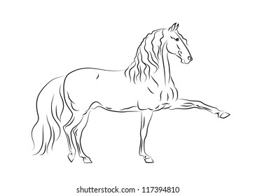 Vector Andalusian horse in motion