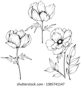 Big Set Rose Flowers Buds Leaves Stock Vector (Royalty Free) 1708209175