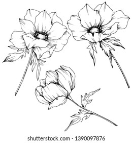 Anemone Tattoo Stock Vectors Images Vector Art Shutterstock