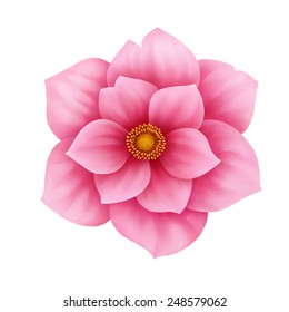 Vector anemone pink flower decorative illustration isolated on white background