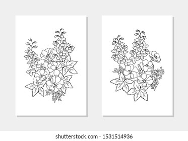 vector anemone wind flower delphinium bell leaf coloring book outline illutration print