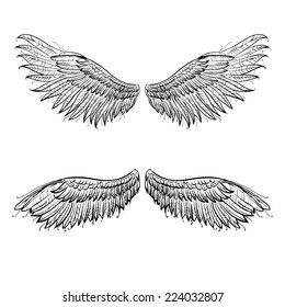 Vector angel hand drawn wings, vector illustration 