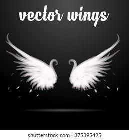 Vector angel wings