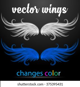 Vector angel wings