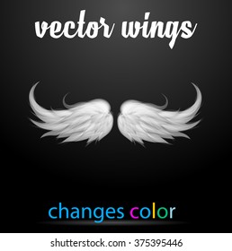 Vector angel wings