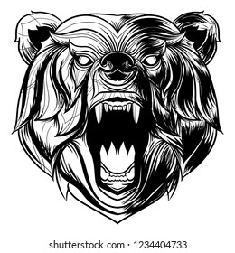 Vector  Angry Bear Head Illustration