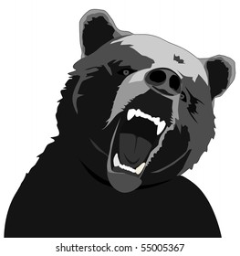 Vector Angry Bear Illustration On White Background