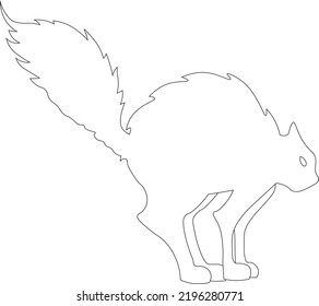 vector of angry cat expression