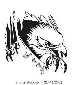 Vector angry Eagle and 
claws