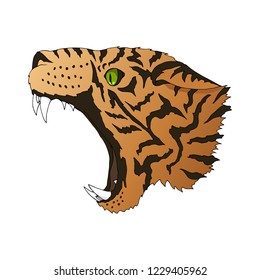 Vector angry leopard portrait. Tiger emerald green eyes predator head colorful isolated on white background.